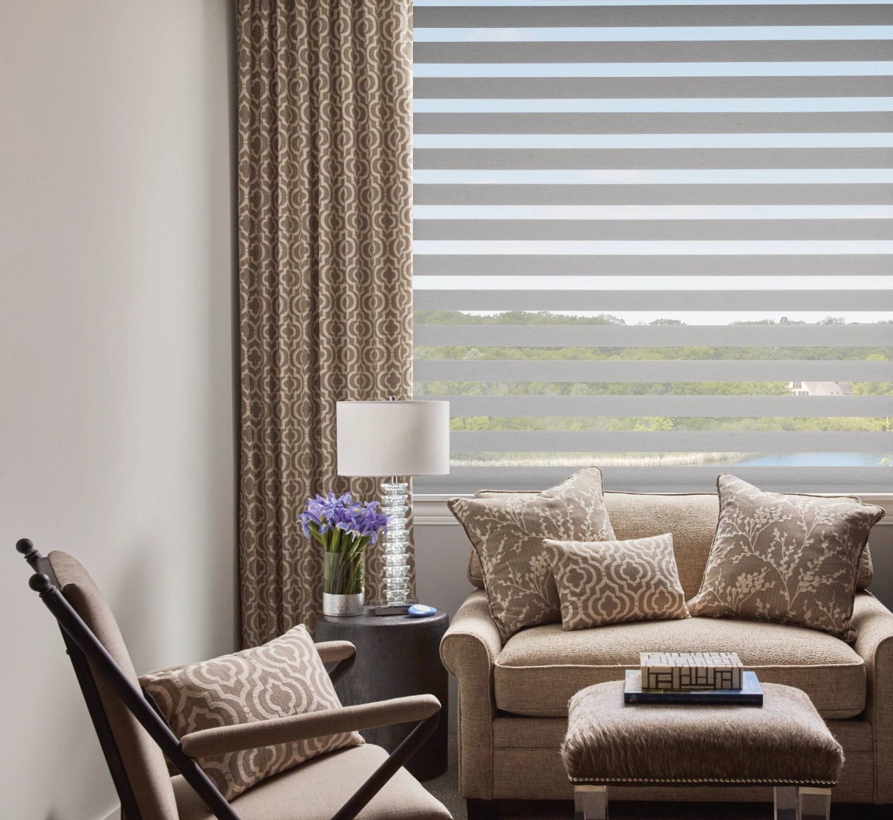 Glare-Reducing Shades, Hunter Douglas Glare-Reducing Shades near Novato, California (CA)