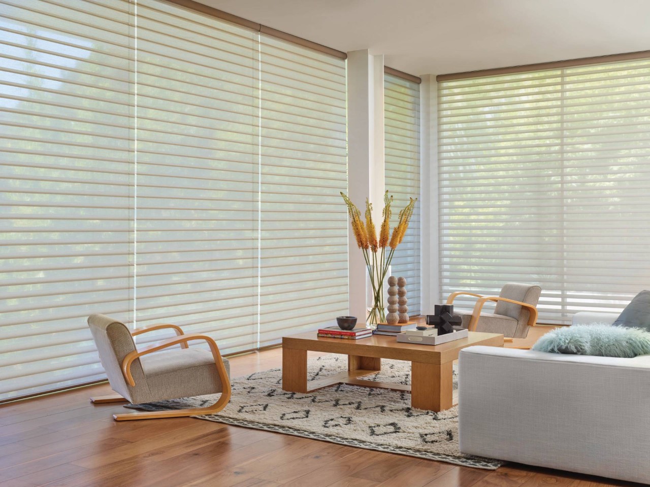 Hunter Douglas PowerView® Automation for a window near Novato, California (CA)